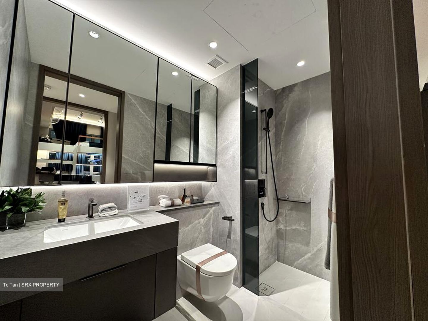 Zion Road (D10), Condominium #536310381